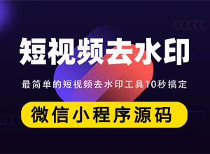 【亲测】可运营版短视频在线一键免费去水印小程序