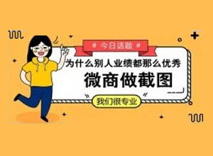 2023全能在线HTML5自适应截图生成器工具/网站优化版源码