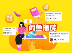 闲/咸鱼二手平台发帖搬砖赚钱项目技巧视频解析，操作简单可量化！