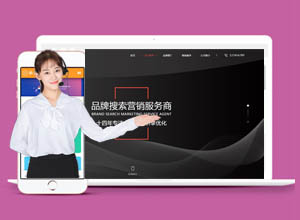 最新企业/公司H5网站SEO排名优化服务HTML主题源码（自适应+响应性）