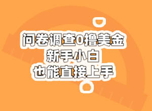 国外问卷调查+游戏试玩赚美金项目：无需翻墙-注册就送1美金，N种收款方式