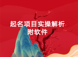 冷门利大的宝宝起名项目解析：零基础操作，附起名软件~