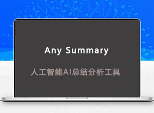 免费AI人工智能总结数据分析工具-Any Summary，支持中英文