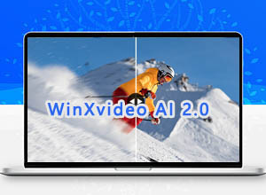 免费领取半年完整许可证赠品：视频/图像画质提升工具WinXvideo AI 2.0