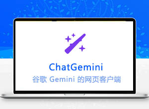 谷歌AI大模型ChatGemini-一款基于Google Gemini的网页客户端