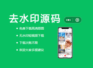 短视频在线免费去水印小程序源码,激励流量主+极客API接口