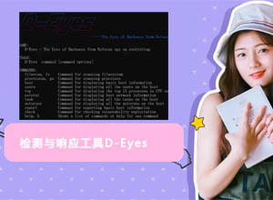 免费绿盟网络科技安全检测与响应工具-D-Eyes