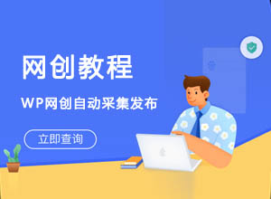 WordPress插件之网创项目（自动采集神器+视频搭建教程）