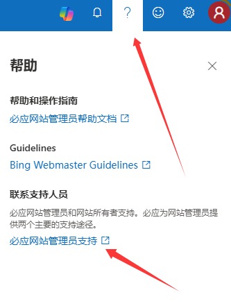 记录一次Bing搜索结果site:0(被K)解决方案~希望对新手有所帮助！第2张