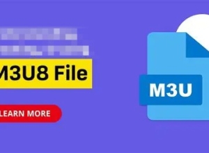 最新量子非凡M3U8视频资源去广告json解析接口源码 修复版本