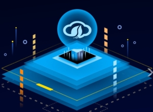 实测野草云香港AMD Linux VPS – 精品BGP流量PA型-2C2G，速度媲美国内主机！